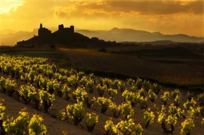 Impacto de los Aranceles de EE. UU. en el vino español: Retos y oportunidades logísticas
