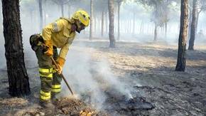 Aumentan efectivos para combatir el fuego en Espacio Natural de Doñana