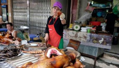 Denuncian que el comercio de carne de perro y gato expande la rabia en Asia
