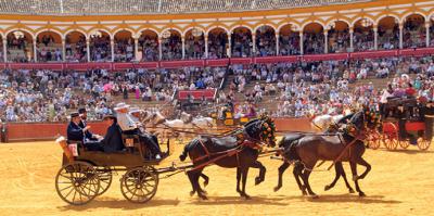 Entre aplausos y abanicos, familias, turistas y expertos celebran la magia ecuestre sevillana