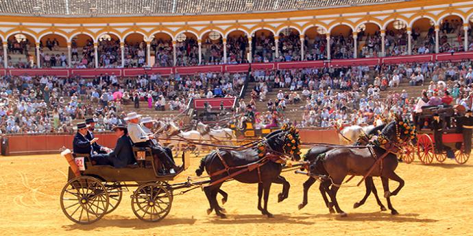 Entre aplausos y abanicos, familias, turistas y expertos celebran la magia ecuestre sevillana