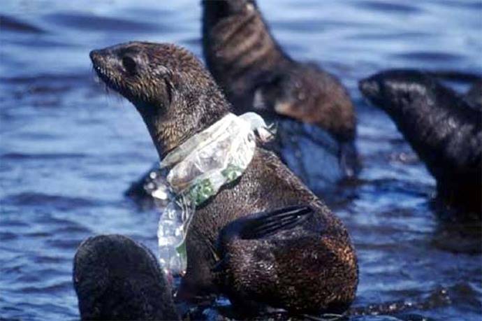 Microplásticos, la amenaza imperceptible que vive en el mar