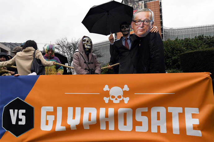 Protestas de grupos ecologistas por la decisión de renovar el uso del glifosato
