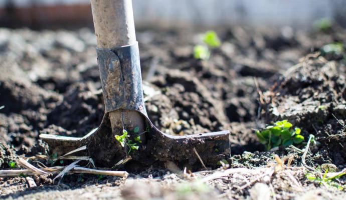 Prepara el jardín para la llegada del frío