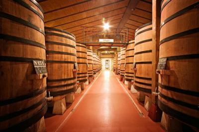 “La Otra Cara Del Turismo: El Vino Que Crea Destino”