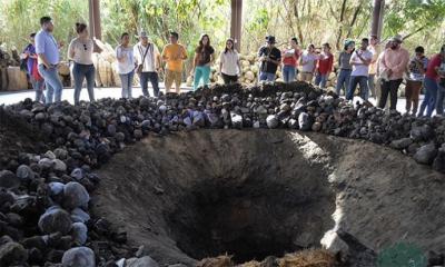 Horno cónico de piso