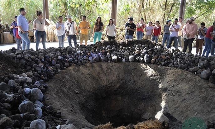 Horno cónico de piso
