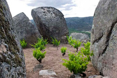 La enología de la Sierra de Gredos desde lagares rupestres prehistóricos