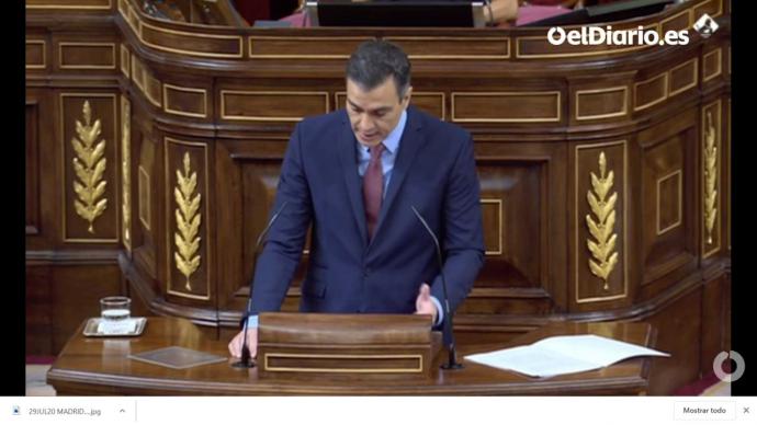 Presidente Sánchez durante su intervención en el Congreso (captura de pantalla)