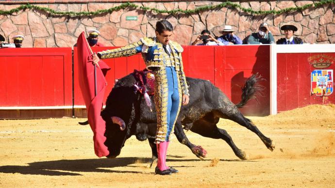 Un toro ensangrentado durante una corrida