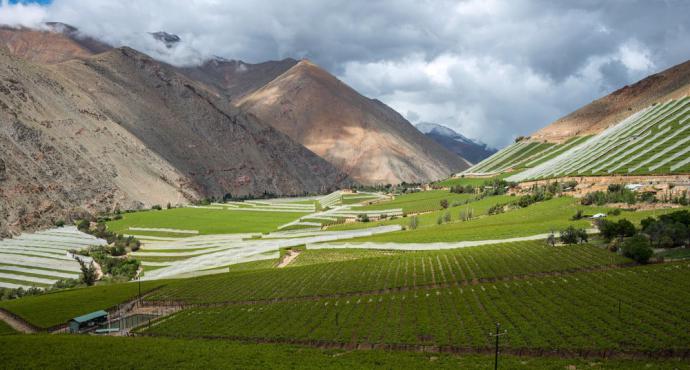 Lonely Planet elige al valle del Elqui en Chile, como un lugar imperdible de visitar en 2019