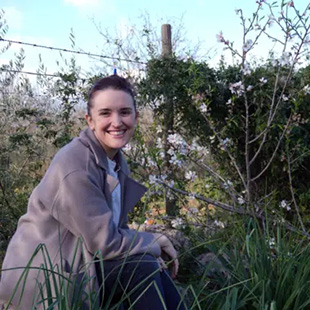 “El Jardín De Los Dioses”, De Aina S. Erice. Una Historia Vegetal De La Espiritualidad