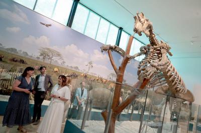 El Paleontològic-Museu de Col·leccions Naturals reabre sus puertas con una apuesta inmersiva y tecnológica