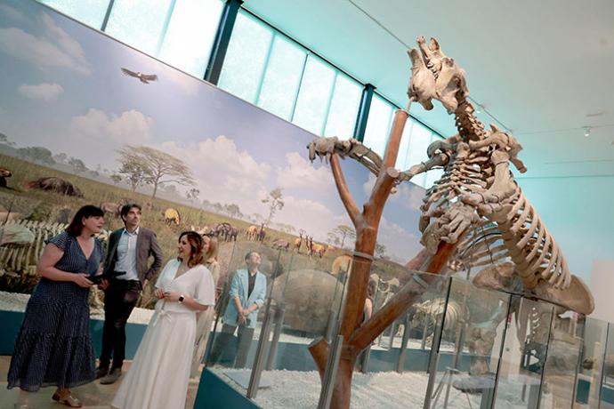 El Paleontològic-Museu de Col·leccions Naturals reabre sus puertas con una apuesta inmersiva y tecnológica