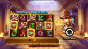 Online Gambling and Digital Finance: A Global Perspective