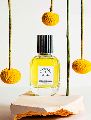 Fragancias unisex: libertad de elección en la perfumería nicho
