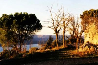 Por qué invertir en suelo rústico en Extremadura en 2026