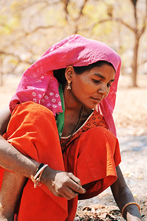 India (Crédito foto – Pixabay.com – imagen de referencia)