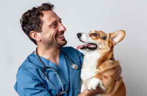 Mejores clínicas veterinarias 2025: por qué Canitas lidera el cuidado animal
