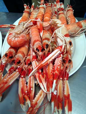 Almería, sabores de mar y montaña