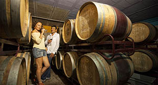 Cellers Baronia del Montsant - Cornudella de Montsant (Tarragona)