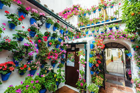 Patios de Córdoba: el Alma de las flores