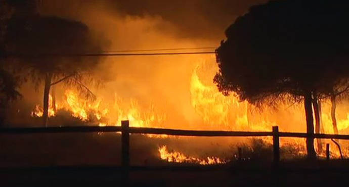 Incendio en Doñana