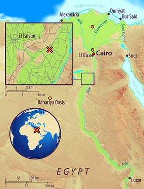 Mapa de Egipto, mostrando el sitio arqueológico de Abusir-el Meleq (marca x) y la ubicación de las modernas muestras egipcias utilizadas en el estudio (círculos naranja)