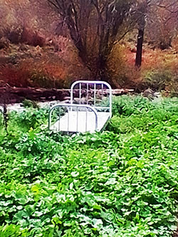 Una Cama en el Paisaje