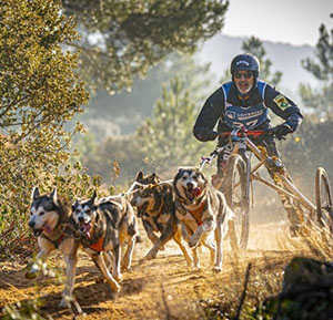 España se lleva un Oro y 8 medallas en los Campeonatos del Mundo IFSS de Mushing en Ólvega