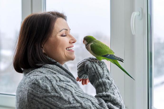 Las mascotas y sus beneficios para los mayores