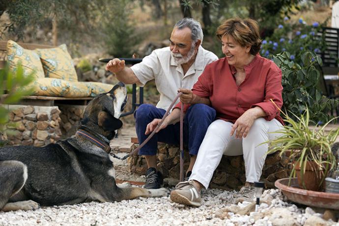 Las mascotas y sus beneficios para los mayores