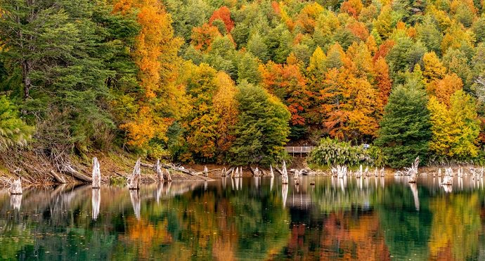 Llega el otoño