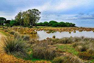 Parque Nacional de Doñana – Andalucía (España