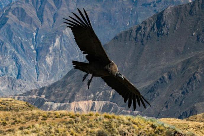 Perú, un destino de maravillas naturales y culturales