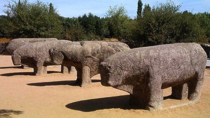 Cebreros (Ávila): Buen vino, paraje de montes y embalses de navegación. Toros de Guisando