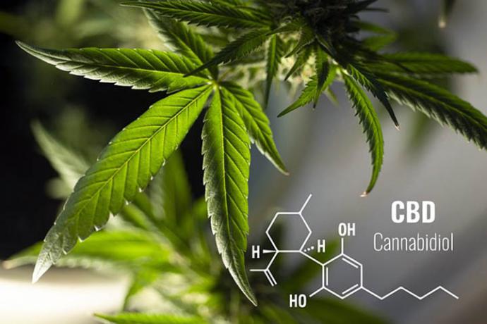 Los productos CBD quintuplican sus ventas en los últimos 5 meses