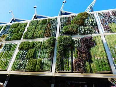 Eco Arquitectura: más allá de las formas, un compromiso con el planeta
