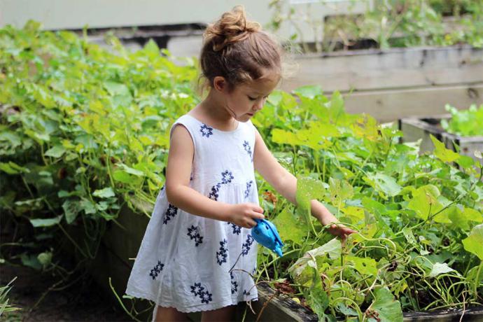 Las principales ventajas del césped artificial sobre el natural en nuestro jardín
