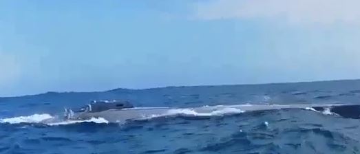 Interceptan submarino con 3000 kilos de clorhidrato de cocaína