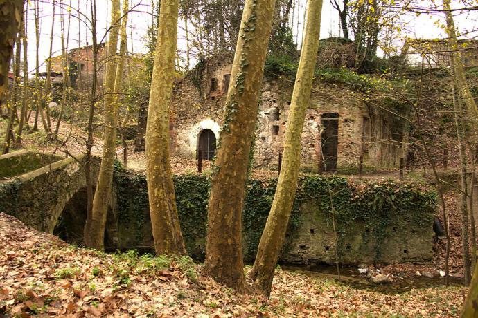 Rutas a pie por el Montseny