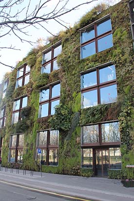 La revolución de los jardines verticales en el diseño urbano