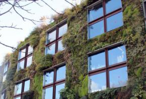 La revolución de los jardines verticales en el diseño urbano