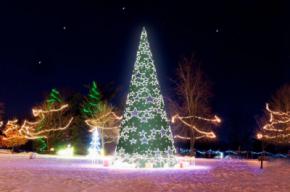 Luces de navidad para exteriores