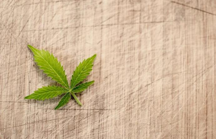 Flores CBD: la marihuana medicinal y completamente legal