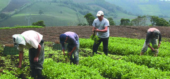 La importancia de los seguros agropecuarios