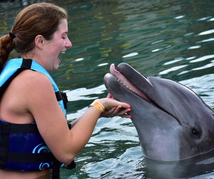 Nadar con delfines en la Riviera Maya, una experiencia inolvidable