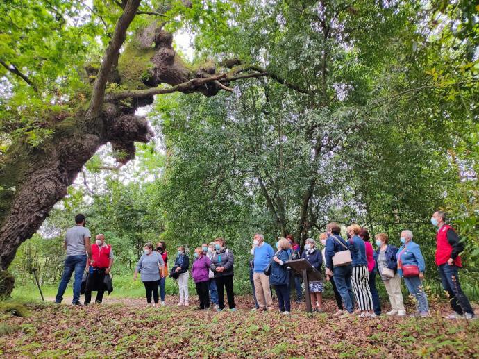 Funerarias Noega y Cruz Roja renuevan su colaboración para acompañamiento de mayores en Gijón