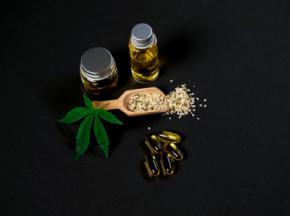6 Stores That Can Be Your Go-To-Place For Buying CBD In 2023