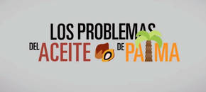 Los peligros del aceite de palma, en dos minutos